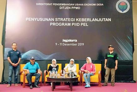 Penyusunan Strategi Tindak Lanjut Program PIID-PEL